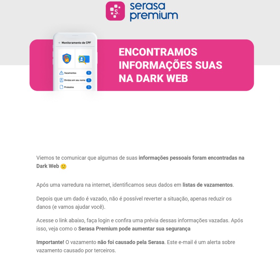 Print do e-mail enviado pela Serasa — Foto: Reprodução