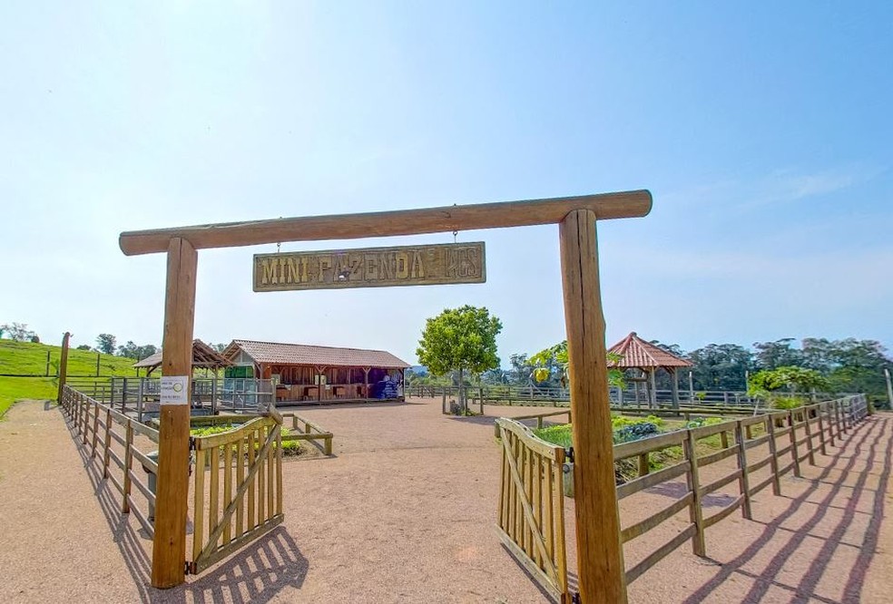 Samira Sagr — Foto: rep/ instagram