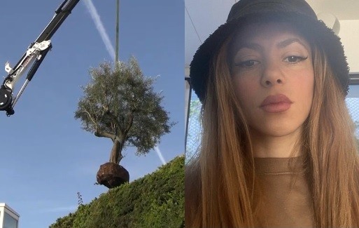 Shakira leva árvore da mansão de Piqué para Miami após divórcio