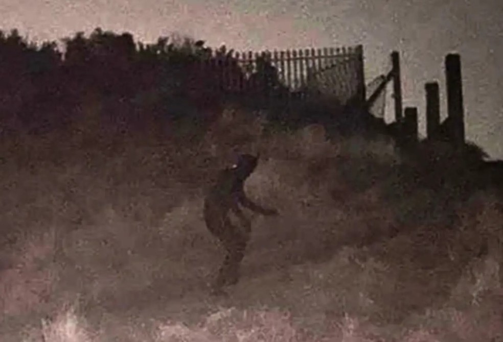 Homem misterioso com fantasia de pantera assusta e intriga cidade na Inglaterra &mdash; Foto: Reprodu&ccedil;&atilde;o/Facebook