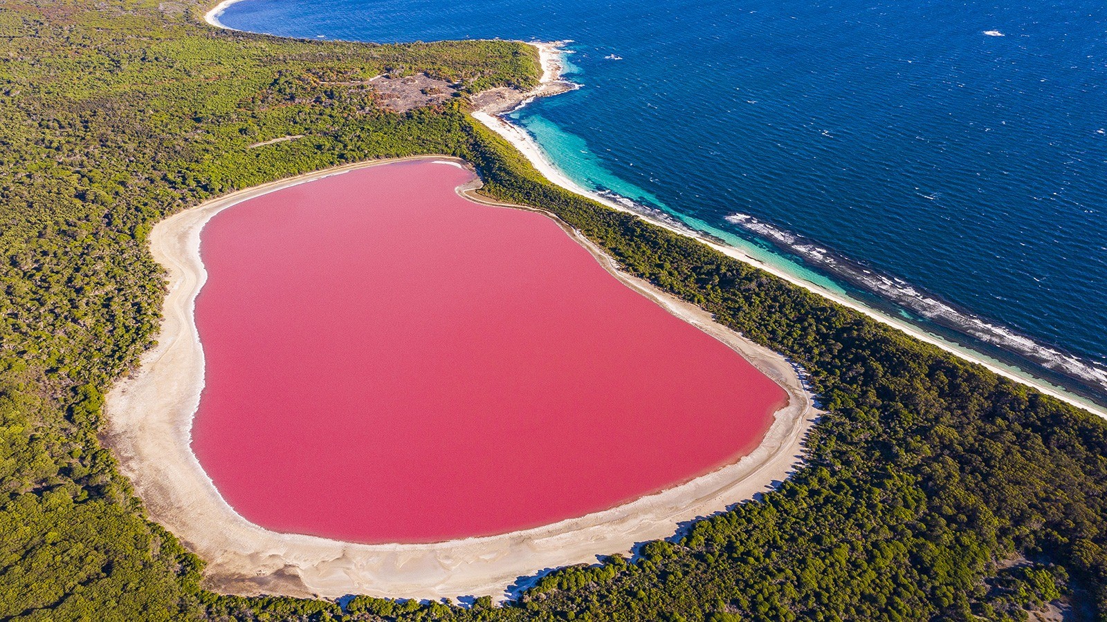 Lago Hillier, em Middle Island, na Austrália — Foto: Reprodução