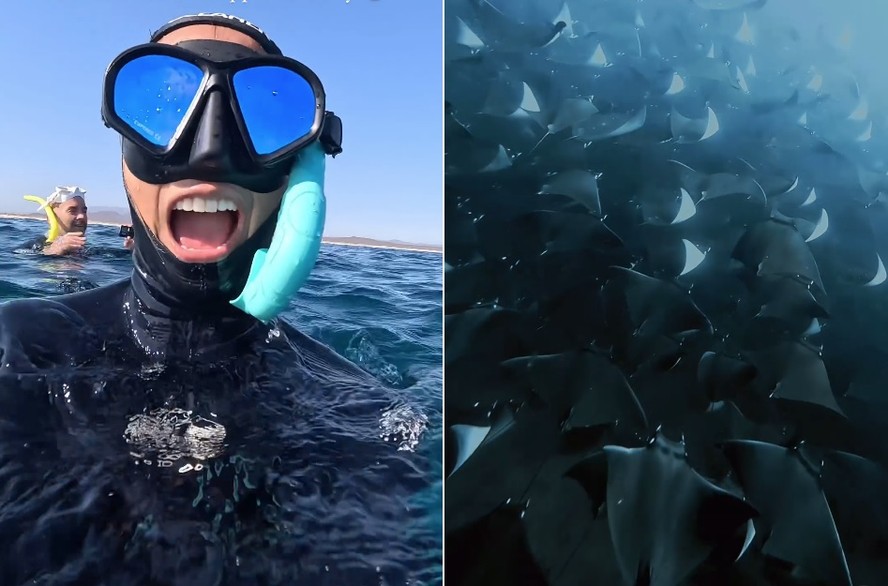 Turista registra belo e raro fenômeno na costa do México: migração de centenas de arraias-diabo