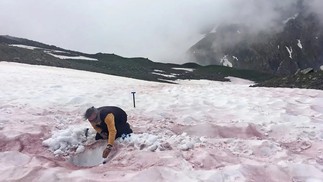 O fenômeno da neve cor-de-rosa não é novo, mas tem se intensificado nos últimos anos nos Alpes Franceses — Foto: Reprodução