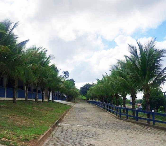 Wesley Safadão tem um haras no interior do Ceará — Foto: Reprodução/Instagram