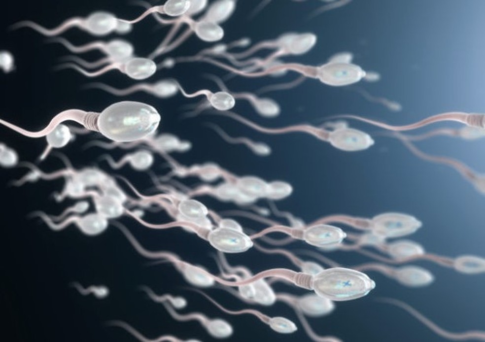 Espermatozoides (imagem meramente ilustrativa) — Foto: AFP