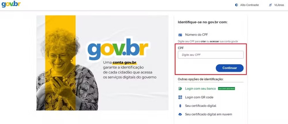 Insira seu CPF e sua senha do Gov.br — Foto: Reprodução