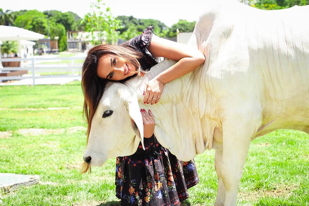 Nicole Bahls compartilha momento de carinho com sua vaca Ivete Sangalo: 'Parceira de aventuras' — Foto: reprodução