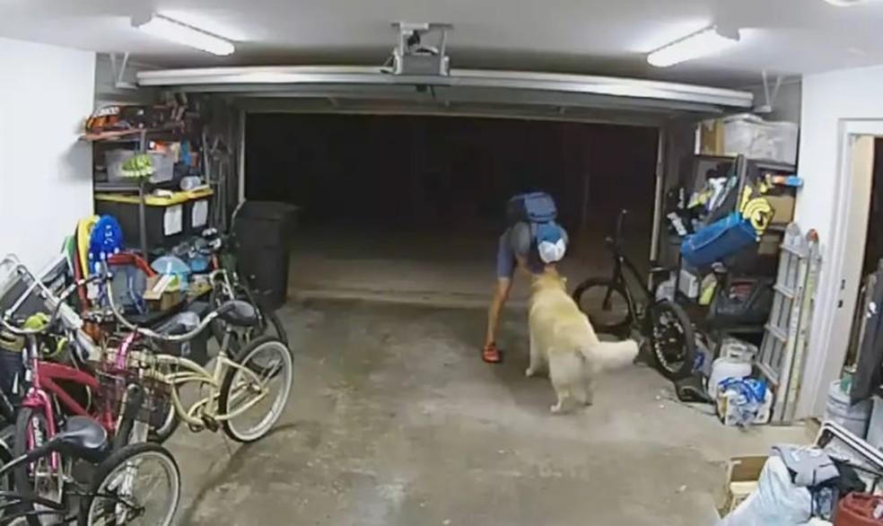 Ladrão interrompe furto de bicicleta para fazer carinho em cão de residência na Califórnia — Foto: Reprodução/Facebook