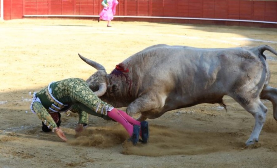 Dos 3.500 euros por touro aos 50 mil euros de cachet para certos toureiros.  Quanto vale a indústria das touradas em Portugal? – Observador