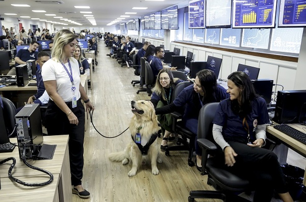 'C&atilde;opanheiro' de trabalho dos funcion&aacute;rios da Secretaria estadual de Sa&uacute;de do Rio &mdash; Foto: Gabriel de Paiva