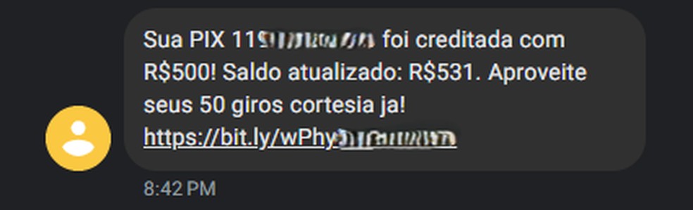 Veja um exemplo de mensagem do golpe do Pix recebido — Foto: Reprodução