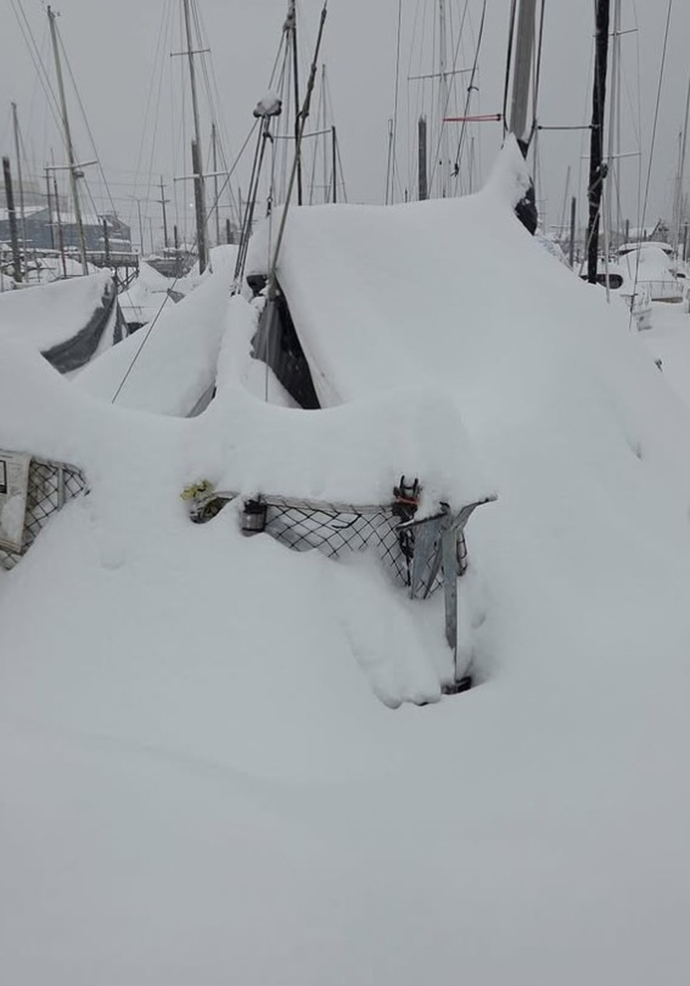 Barcos em marina de Juneau soterrados por espessa camada de neve &mdash; Foto: Reprodu&ccedil;&atilde;o/Instagram
