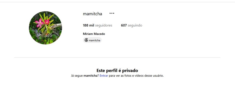 Mãe de Anitta tem perfil privado no Instagram — Foto: Reprodução/Instagram