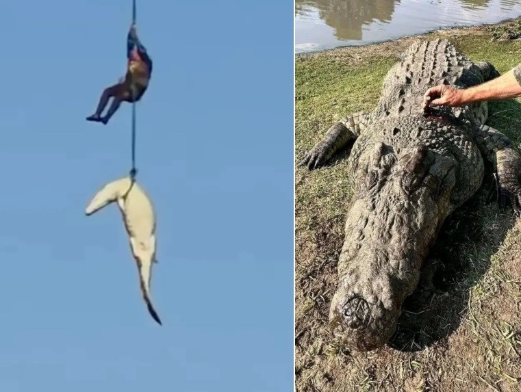 Como a polícia identificou o crocodilo que devorou empresário na África do Sul